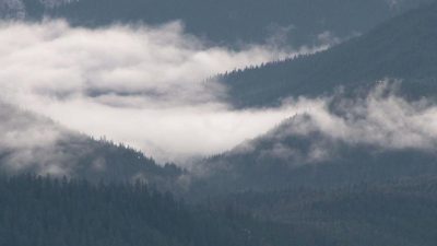 Shasta Community Health Your Path to Wellness