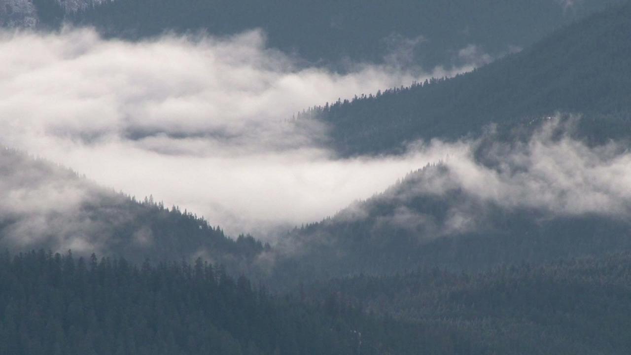 Patient Health Portal | Schc