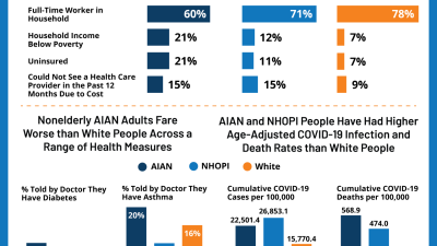 What Is A Health Certificate at David Daigle blog