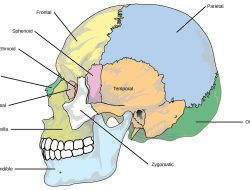 Eight Skincare For Radiant And Healthy Skin