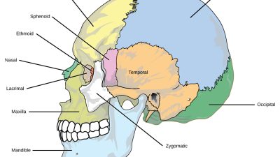 Eight Skincare For Radiant And Healthy Skin