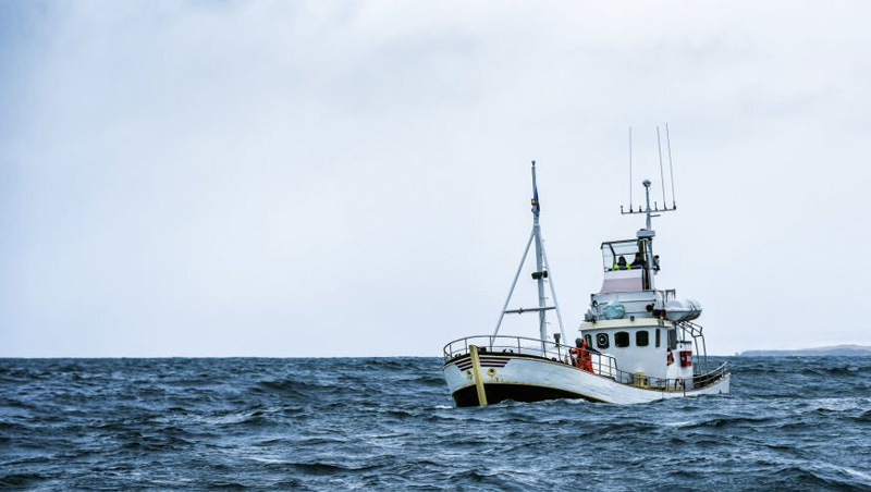 Everything You Must Know About Commercial Fishing Boat Insurance - Seafoods Everything You Must Know About Commercial Fishing Boat Insurance - Seafoods