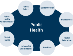 Online Masters Of Public Health Your Gateway To Success