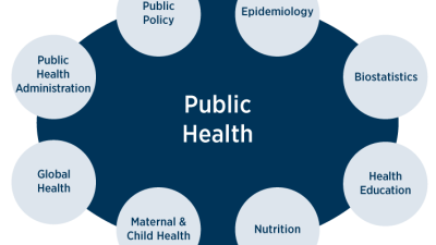 Online Masters Of Public Health Your Gateway To Success