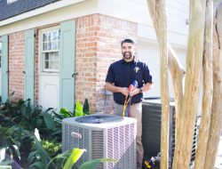 Criminal Law Case Management Software For Efficiency