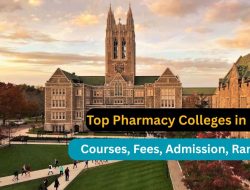 Top Affiliate Marketing Agencies That Drive Success