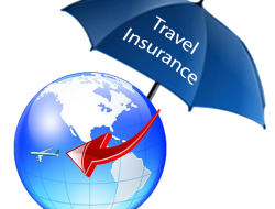 Insurance on a food truck protects your dream business