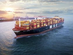 msc public health online Transforming Global Health Perspectives