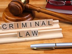 criminal psychology online course Experience the Mind