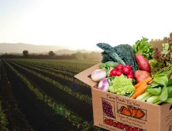 Fresh Skincare Discount Code Unlock Radiant Beauty Savings