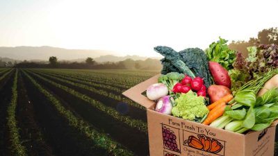 Fresh Skincare Discount Code Unlock Radiant Beauty Savings