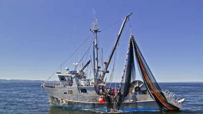 boat insurance alabama Protect Your Water Adventures Today