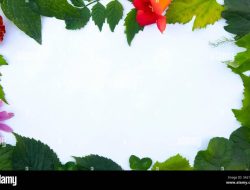 Top Affiliate Marketing Networks Made Easy For You