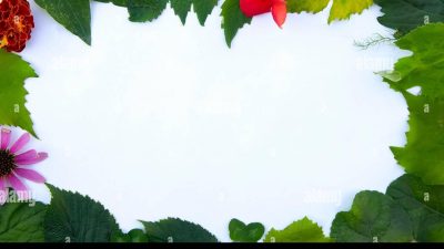 Casual Long Sleeve Crew Neck T-Shirt Women's Watercolor Butterfly ...