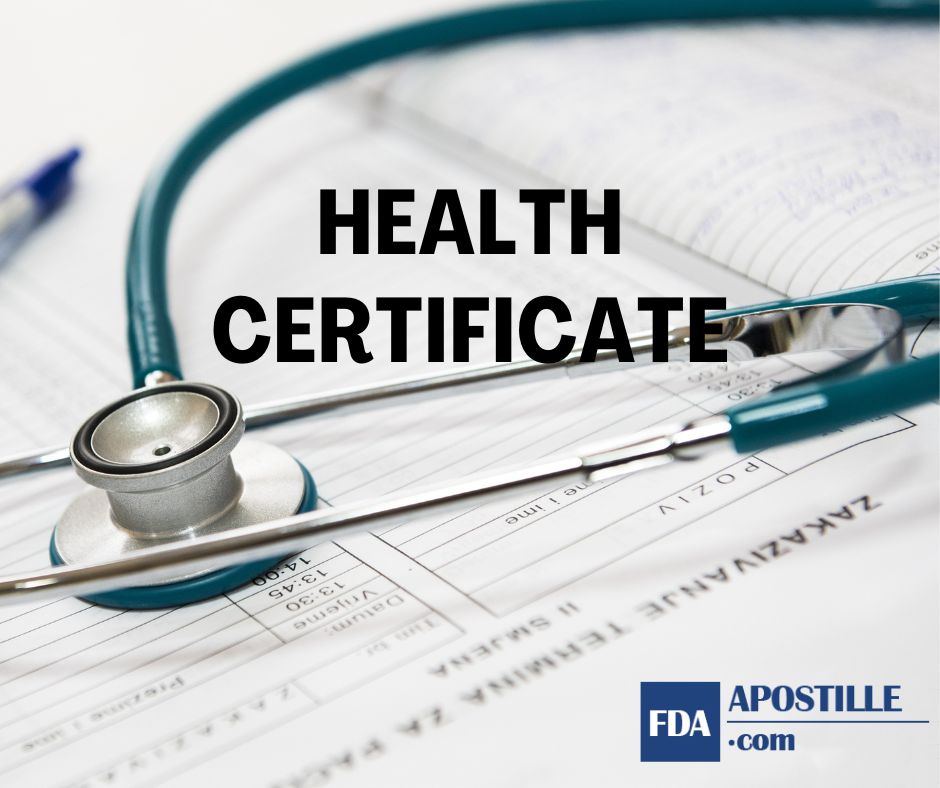Health insurance startups