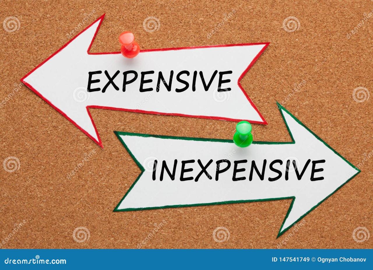 19,588 imágenes de Inexpensive - Imágenes, fotos y vectores de stock ...