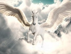 pegasus hardware Unleashing Innovation in Technology