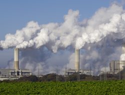 Environmental health and safety management software for seamless compliance and protection