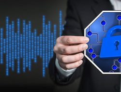 Commercial Camera Security System For Ultimate Safety