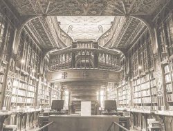 302 Professional Skincare For Radiant And Healthy Skin