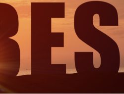 Best performance appraisal software for your needs