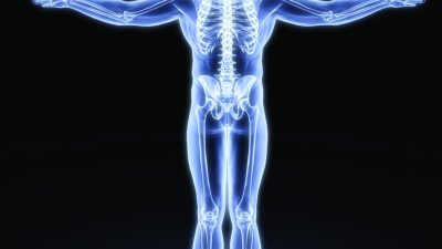 Human Resource Management Software Comparison Made Easy