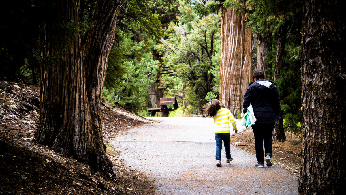 Commercial camera security system