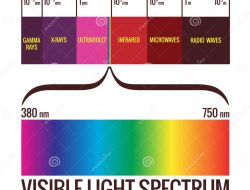 spectrum health systems worcester ma Your Path to Wellness