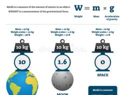 Mass Tort Lead Generation Companies Transforming Litigation
