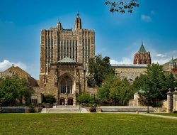 Schools That Offer Online Courses Discover Endless Learning